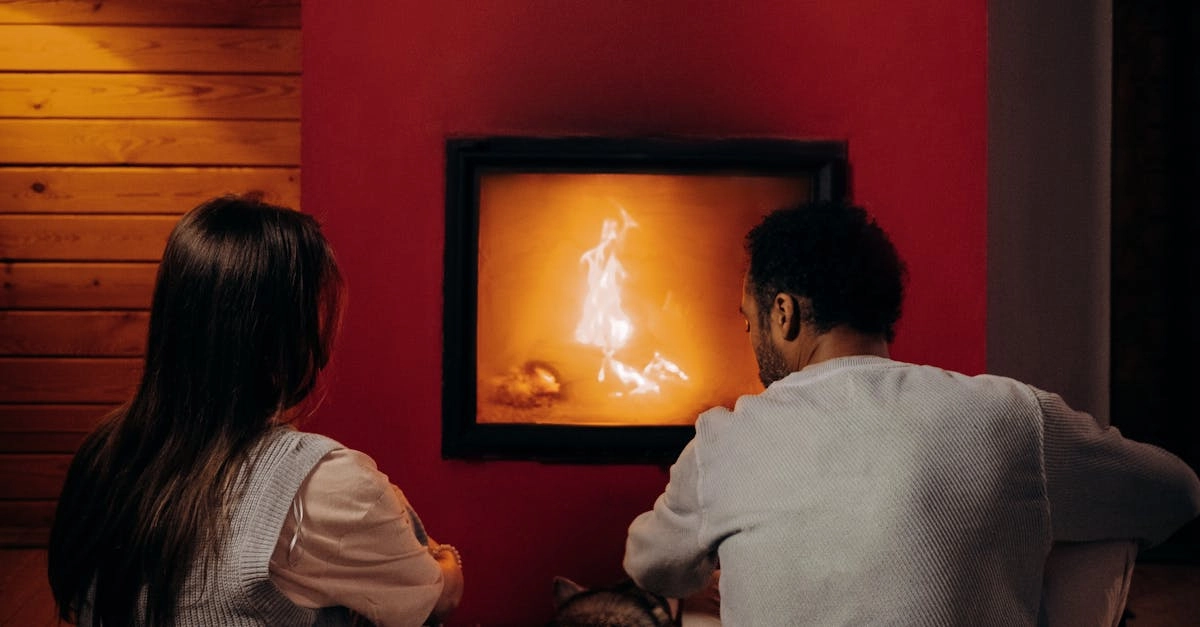 The Dog House Megaways слот игра с собаками и мегапутями выигрыша